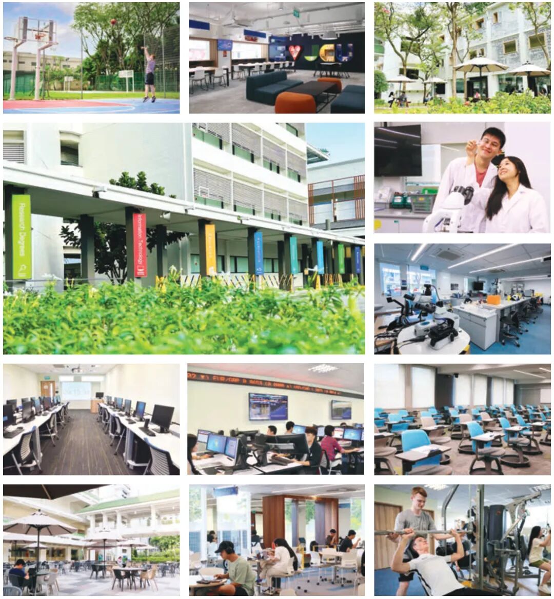 解锁新加坡留学的“性价比之选”：詹姆斯库克大学新加坡校区，给你一个“位”来可期！