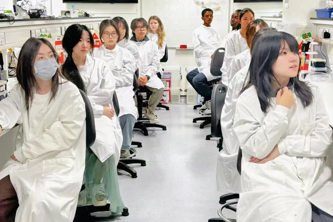 【官宣】2026帝国理工冬校报名开启，数学/工程/生物科学与医学/金融经济四大学科方向可选！