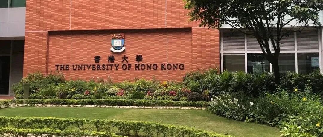 毕业即上岸？港大、港中文首次入选“国优计划”毕业生免考教资!