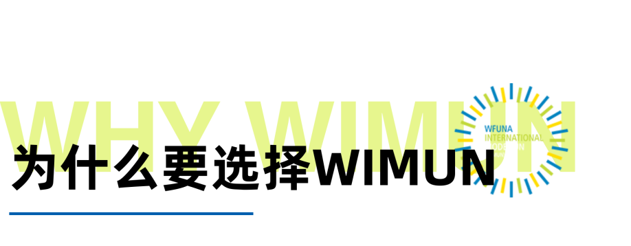 WIMUN | 在联合国总部开模联是怎样的体验？