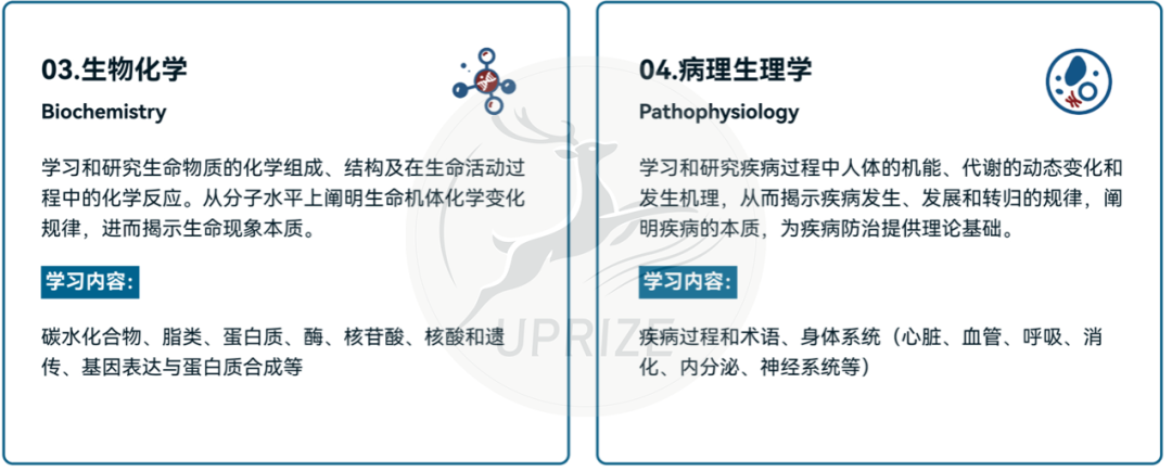 iHOSA竞赛金奖经验分享！备考看这篇就够了