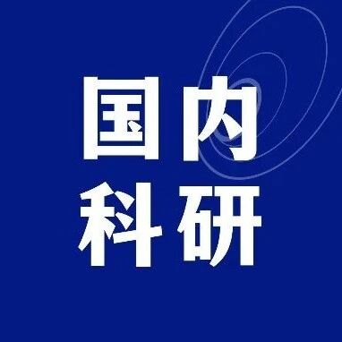 复旦大学正教授科研项目：以抑郁、焦虑等心理状态的成因为例