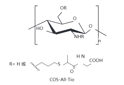 IGEM文献分享 | 一种新型壳寡糖衍生物（COS-All-Tio）在虾保鲜中的潜在应用