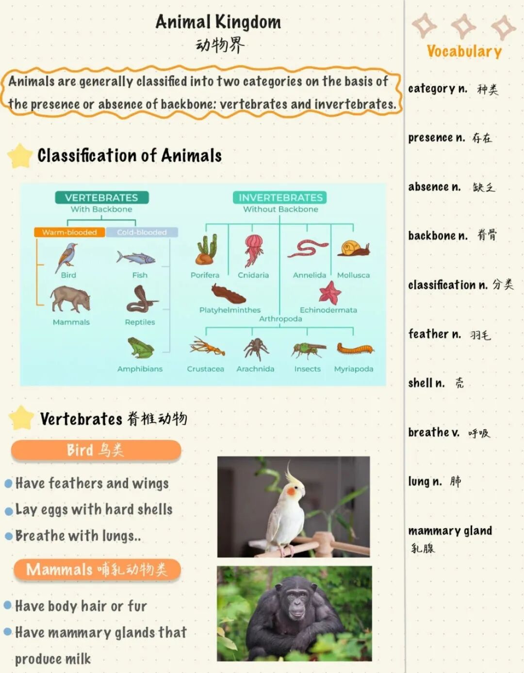 sumyee专栏|托福听力总被生物话题难住？高频考点 + 核心词汇全梳理，帮你轻松破局！