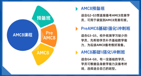 上海三公学校报考全攻略：从报名到录取，关键步骤一文理清