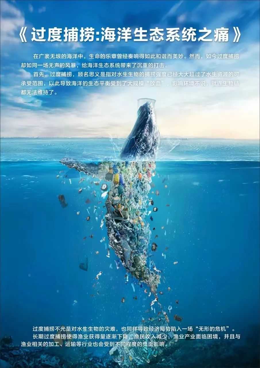 【国庆在线志愿者项目】足不出户，用学科专长助力公益议题解决