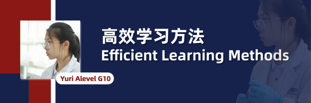高藤Talk回顾 | 教育与全球化视野：在多元声音中看见更大的世界