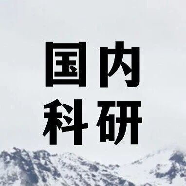 上海交通大学研究员科研项目：癌症免疫疗法前沿探究