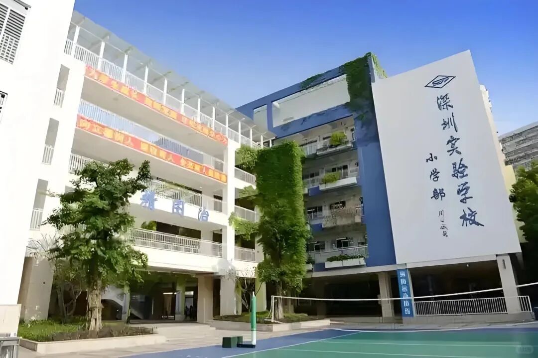 2025福田幼升小终极指南：实验、荔园、园岭几大名校怎么选？硬核深度解析！