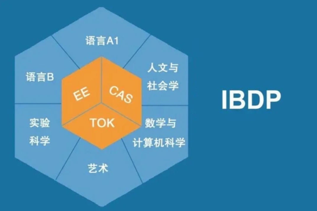 A-Level、IB、AP三大课程体系怎么选？小蚁帮你精准破局！