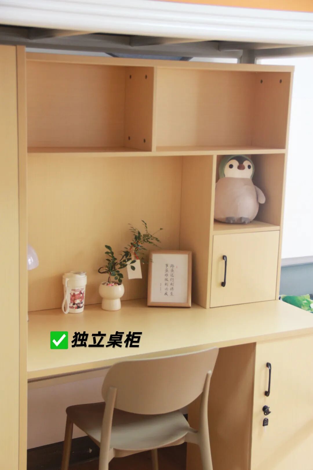 扒一扒深圳学费10-30w国际校宿舍长啥样！【龙华篇】