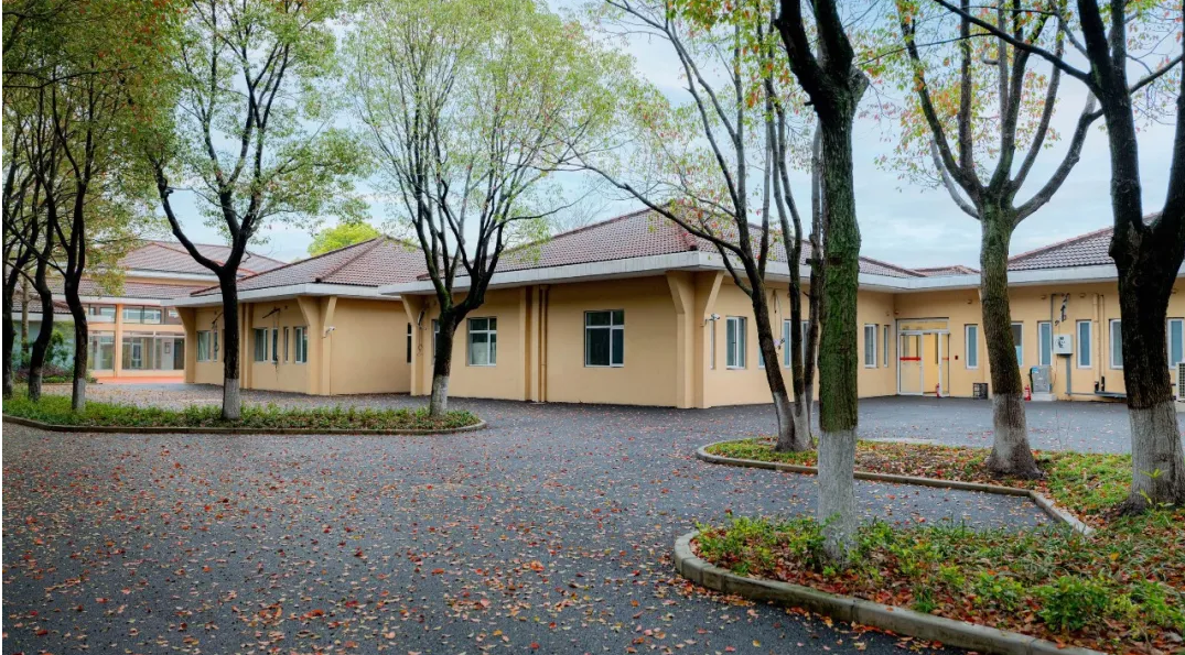 上海国际学校｜上海籽奥高级中学，为何被誉为「小而美」的国际教育新选？
