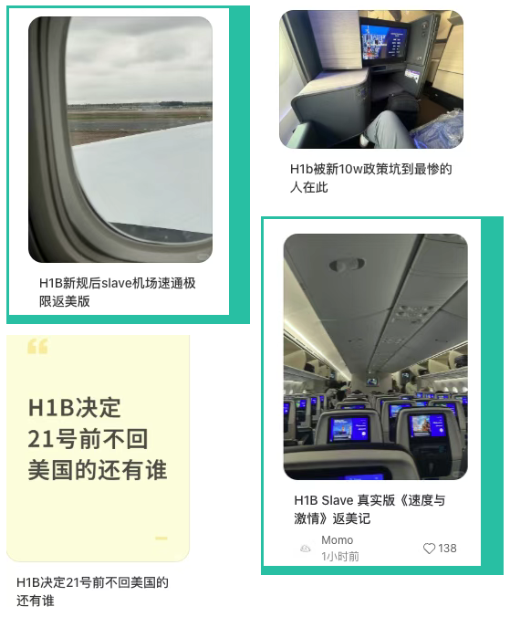 H1B政策一夜变天！都说川普太颠了，但其实利好中国留学生！？
