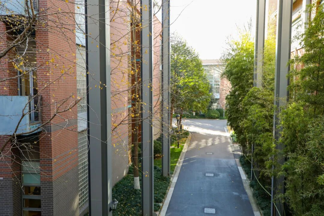 Egon Sohmen 经济学竞赛让经济学思维闪耀校园