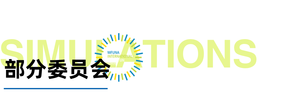 WIMUN | 在联合国总部开模联是怎样的体验？