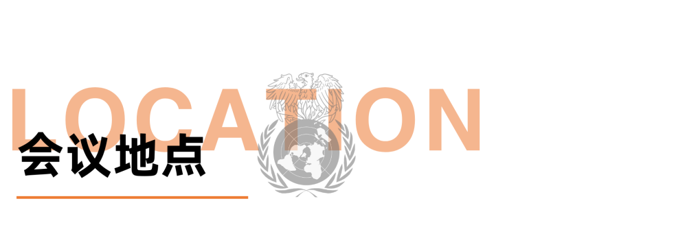 WIMUN | 在联合国总部开模联是怎样的体验？