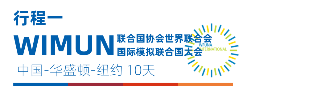 WIMUN | 在联合国总部开模联是怎样的体验？