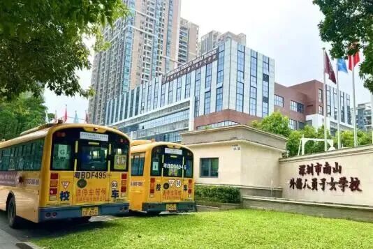 深圳 12 年一贯制国际学校全景指南：课程类型、办学亮点与招生详情汇总