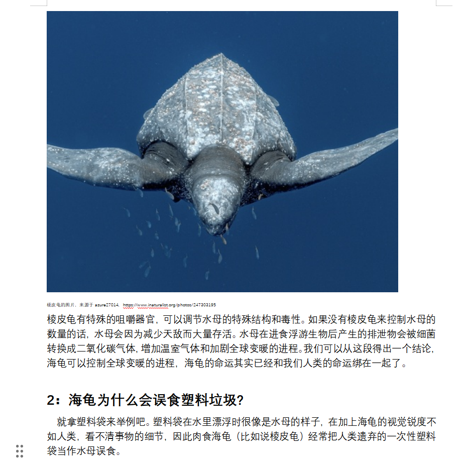 【国庆在线志愿者项目】足不出户，用学科专长助力公益议题解决