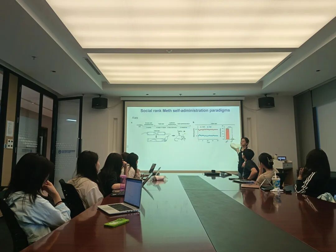 项目回顾｜基于动物模型的成瘾性精神疾病研究