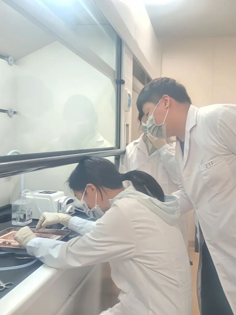 项目回顾｜基于动物模型的成瘾性精神疾病研究