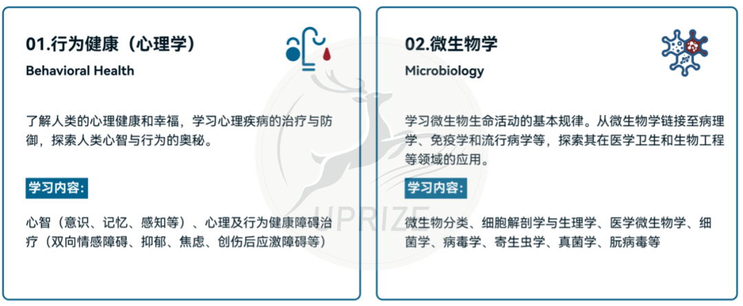 iHOSA竞赛金奖经验分享！备考看这篇就够了