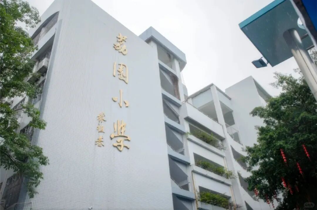 2025福田幼升小终极指南：实验、荔园、园岭几大名校怎么选？硬核深度解析！