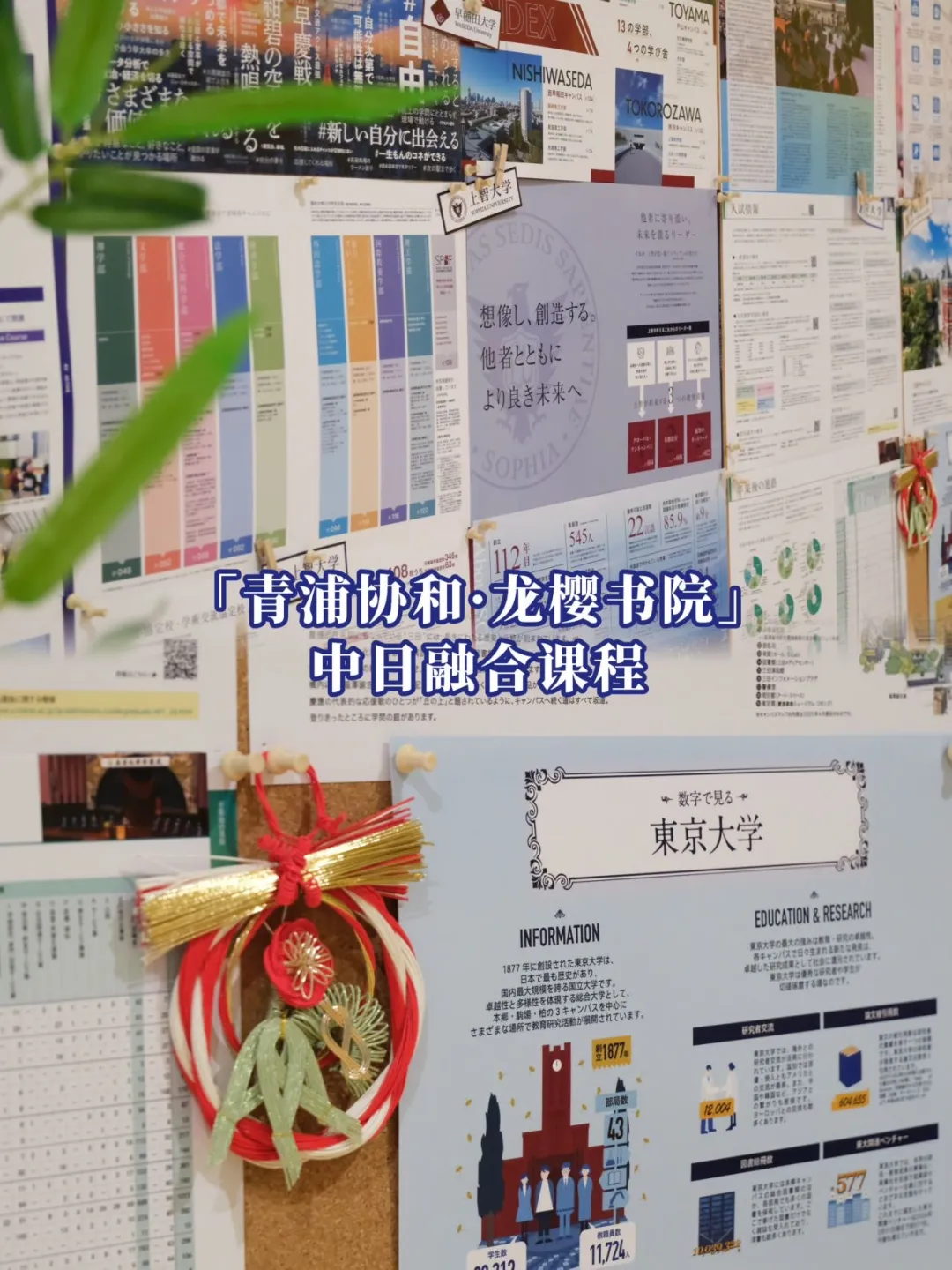 体验拉满！「青浦协和·龙樱书院」2026年春季入学开放日程全面升级！