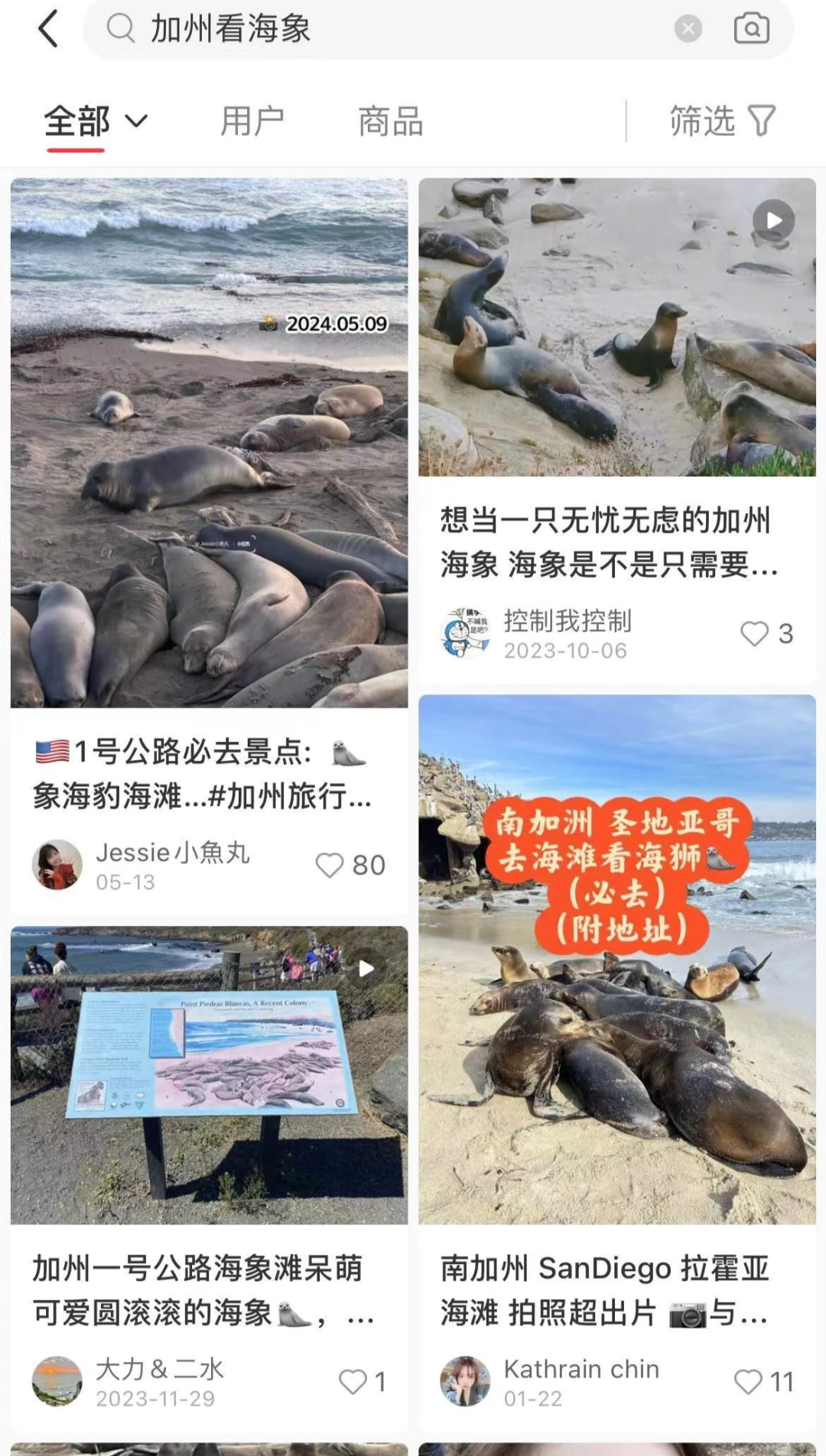 圣海辛斯学院寒假插班真实体验！本地私立教会学校+加州野生海象互动