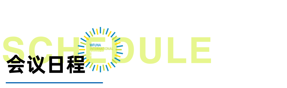 WIMUN | 在联合国总部开模联是怎样的体验？