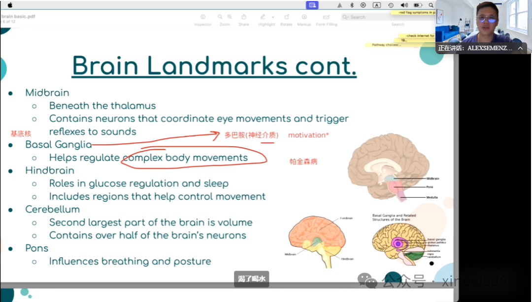 2026年BrainBee脑科学大赛报名考试时间线公布，附BrainBee考前精选模拟题~