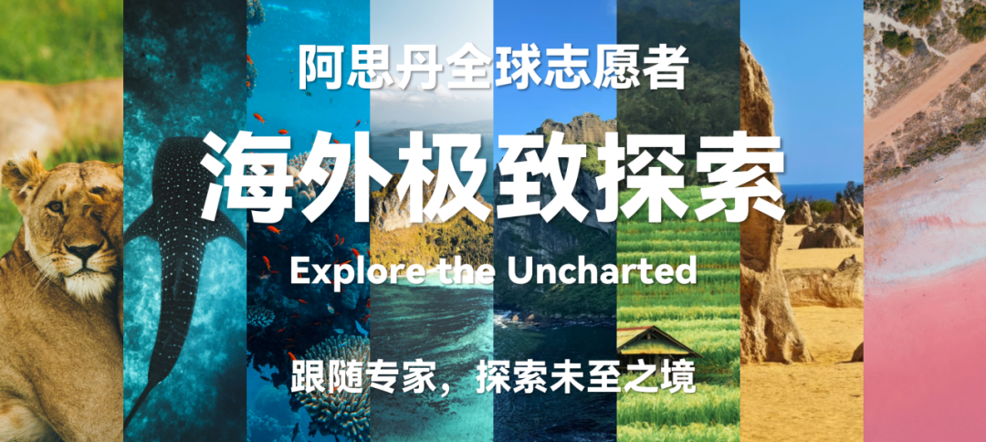【狂野东非】到坦桑尼亚，撞开野生动物世界的大门！