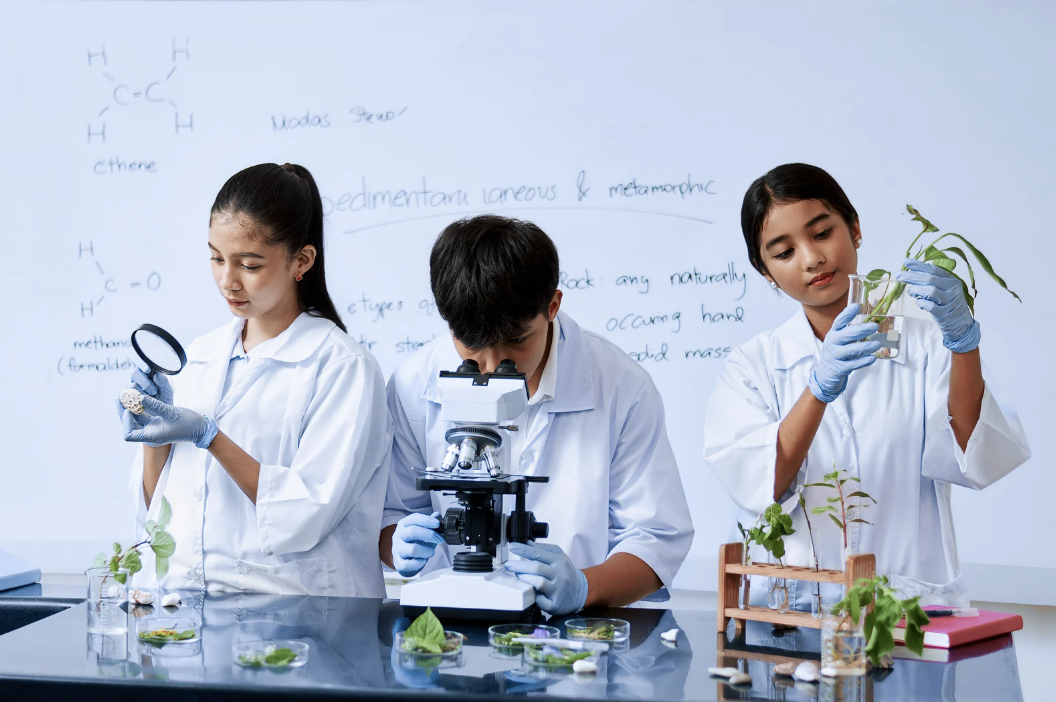 新出的诺贝尔医学奖到底奖的是什么内容？