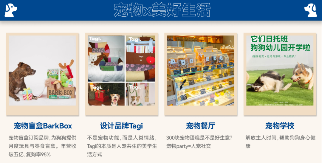 搞定商科申请+留学｜BPA商赛通关全流程：不同组别选择与考核环节+最新组队信息