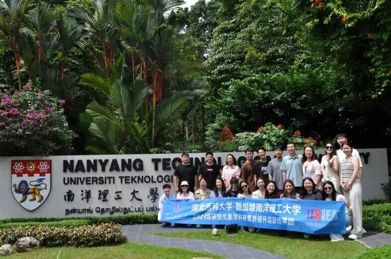 新加坡访学实录 | 十种视角，解读亚洲顶尖学府的独特魅力。