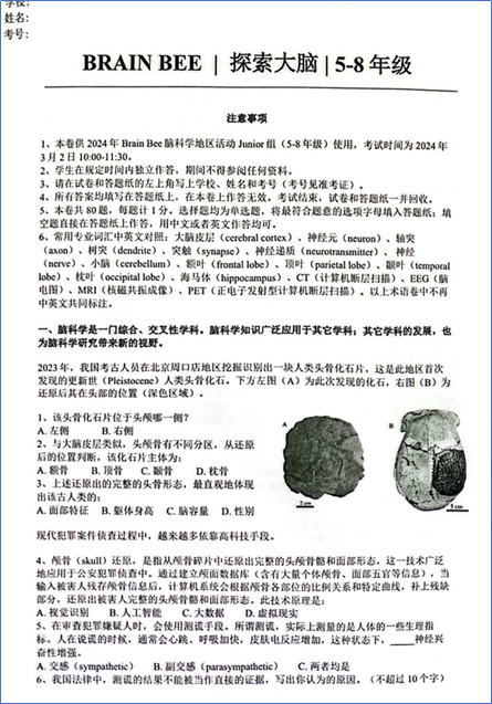 Brain Bee脑科学活动全面解析