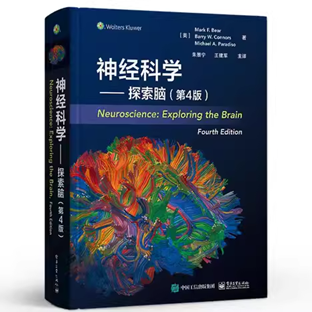 Brain Bee脑科学活动全面解析