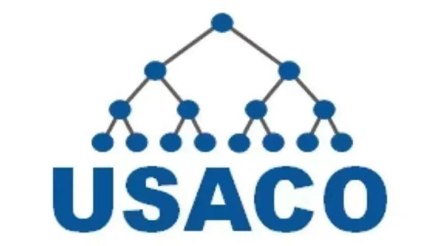 USACO计算机竞赛备考难点解析：突破这四大关卡，从青铜到铂金~