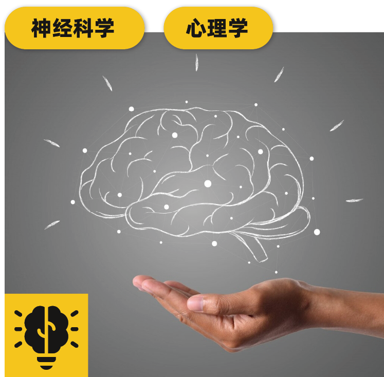 【官宣】澳大利亚门萨俱乐部官方推荐！新南威尔士大学官方天才营首次面向3-10年级设立独家资优课程！