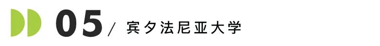 藤校2029届录取数据揭秘！普林斯顿、哈佛、哥大、布朗国际生比例上涨！