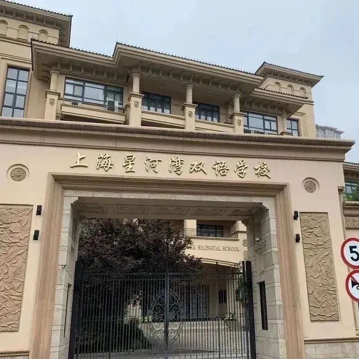 在上海读国际学校为何卷？怎么赢？—— IB/AP/A-Level选择策略与竞赛突围指南