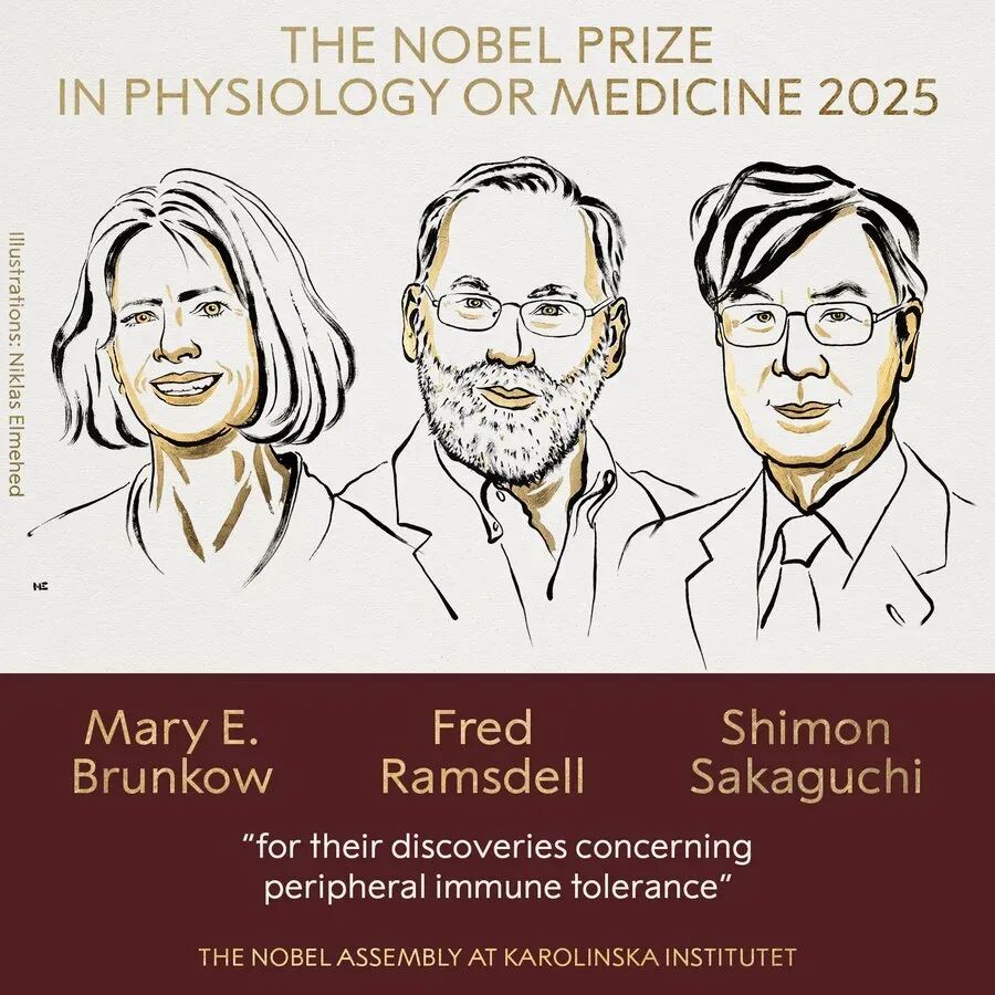 2025诺奖全公布！7位得主拥有美国博士学历，5人与这所美国公立巨头有关……