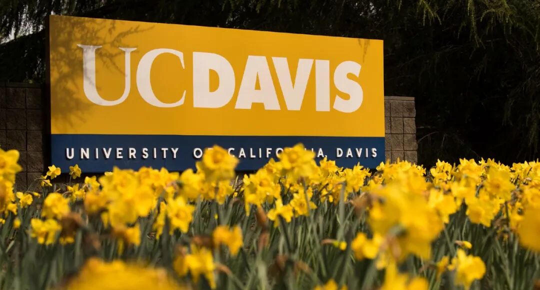 寒假项目|加州大学戴维斯分校高中生寒假学分项目 寒假项目|加州大学戴维斯分校高中生寒假学分项目