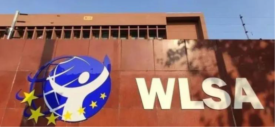 2026上海国际学校春招周末正式开考！领科/光剑、世外/平和、WLSA/星河湾考情集中解析！
