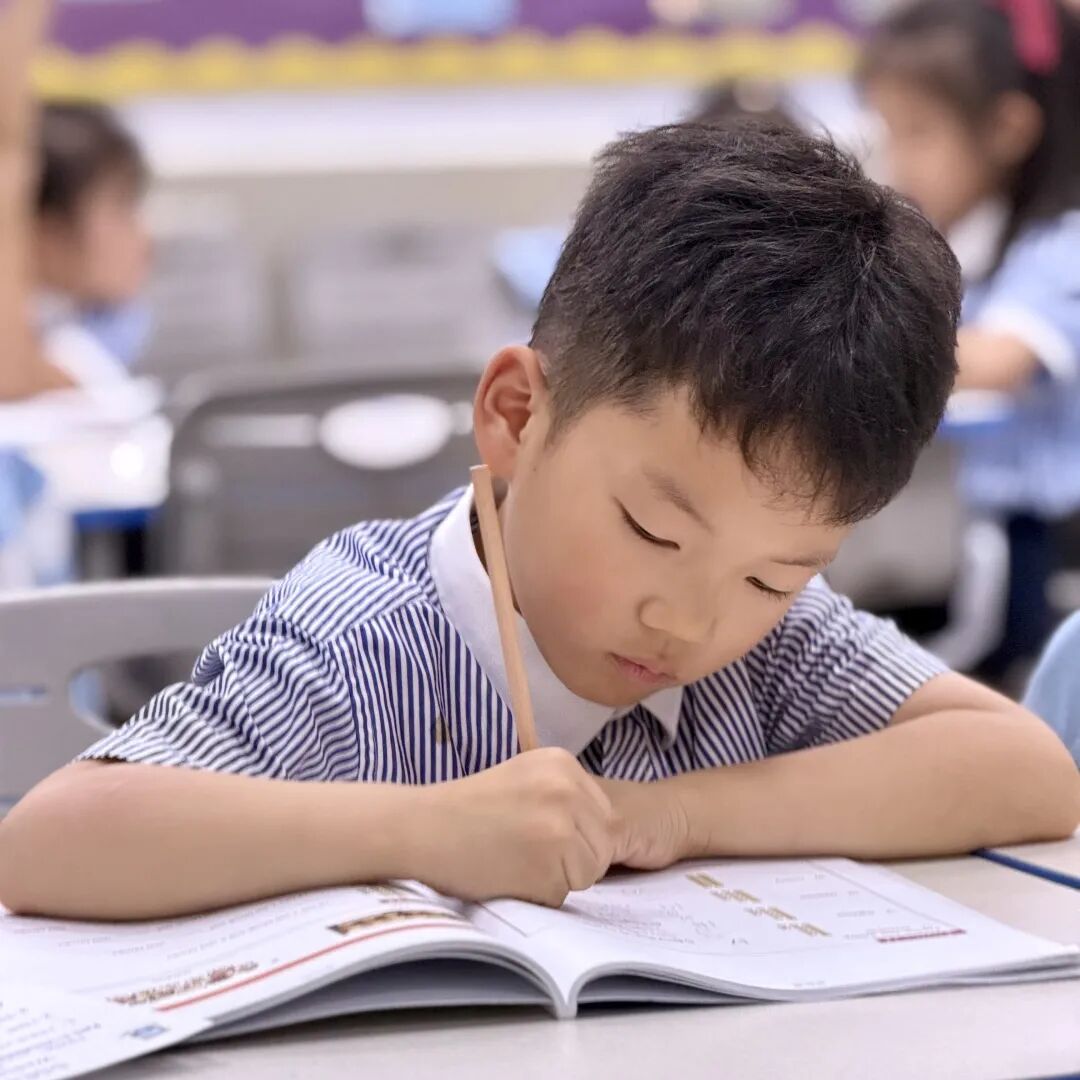 从看见到同行丨走进尚德融合部小学的教育现场