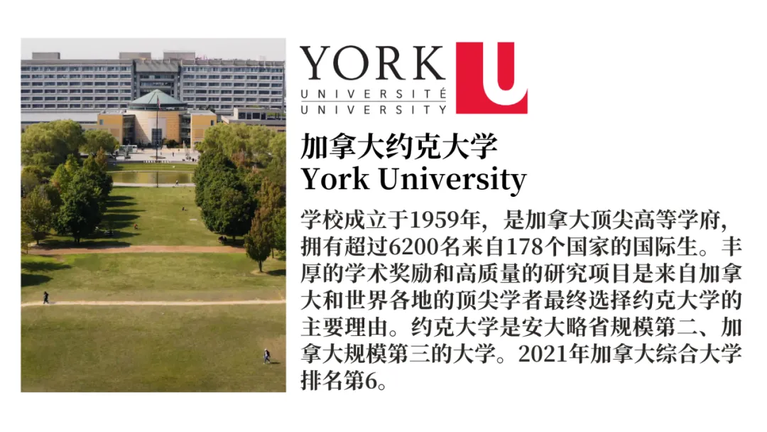 中央戏剧学院国际本科项目:不用校考，补录中