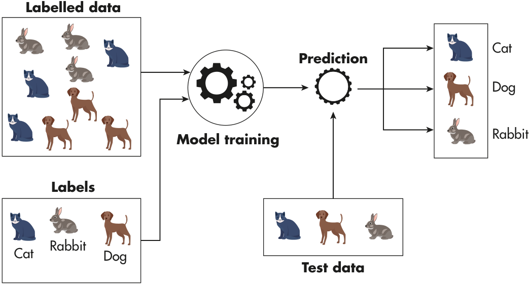 深度剖析 | 同样是计算机科学,爱德思和CIE考试局有何不同? 深度剖析 | 同样是计算机科学,爱德思和CIE考试局有何不同?