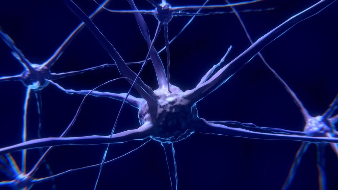 科研合集：医学/生物/分子生物学/基因工程...一席难求的实验室科研项目，速进！