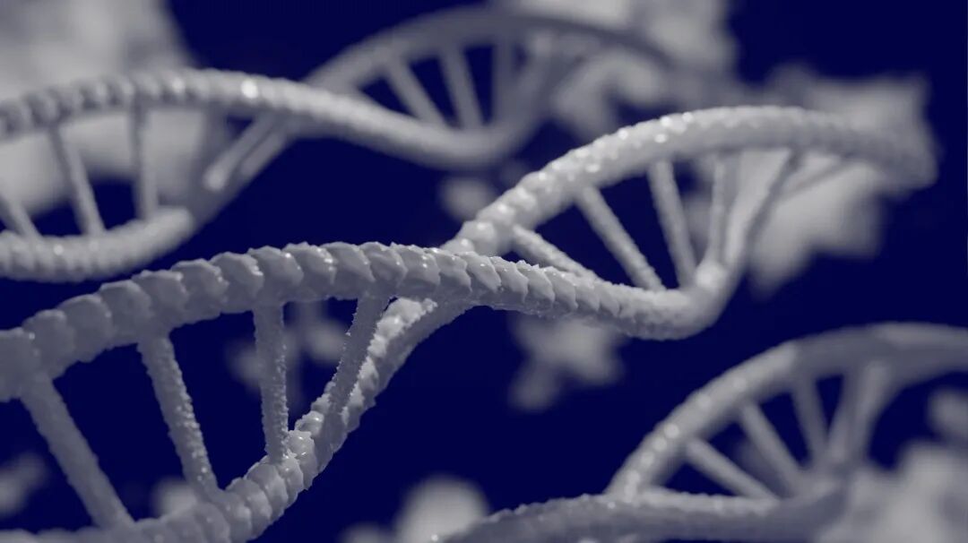 科研合集：医学/生物/分子生物学/基因工程...一席难求的实验室科研项目，速进！