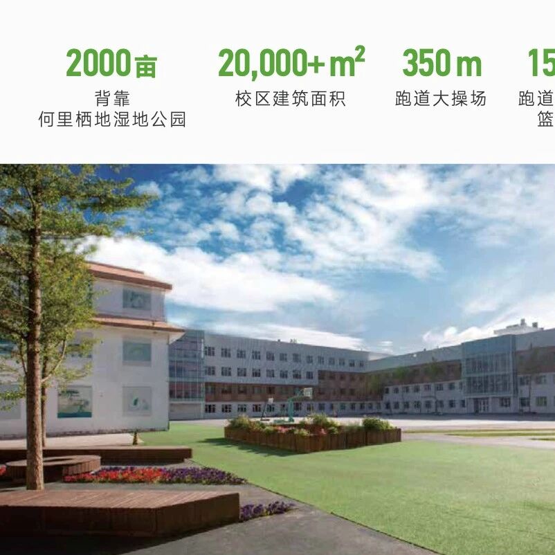 北京致知学校高中部2026年招生简章！开设IBDP、AP、A-Level、DSE、OSSD、日本、新加坡等课程